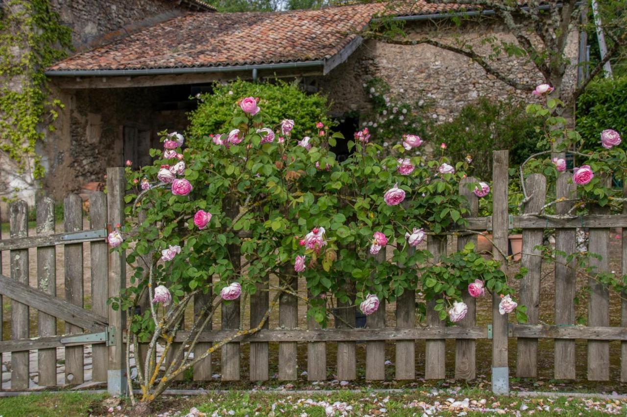 Chambres D'Hotes La Pocterie Vouneuil-sur-Vienne Екстер'єр фото