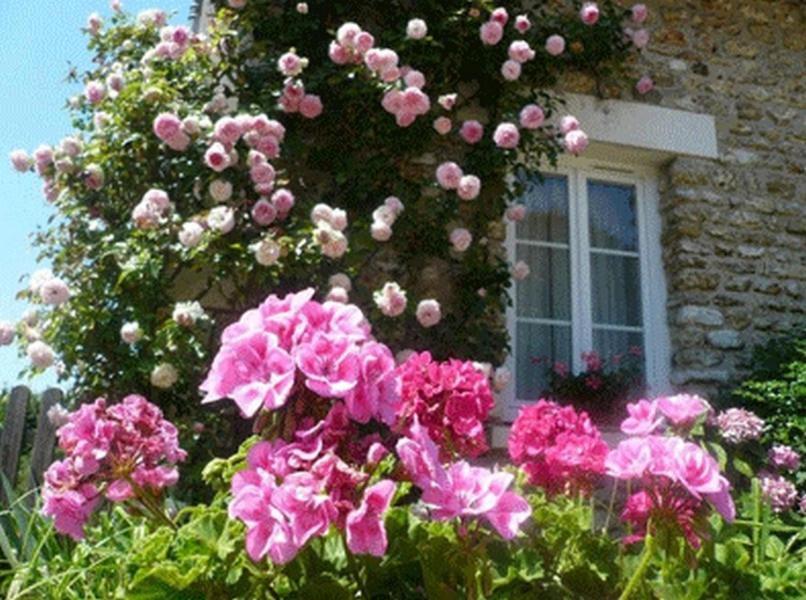 Chambres D'Hotes La Pocterie Vouneuil-sur-Vienne Екстер'єр фото